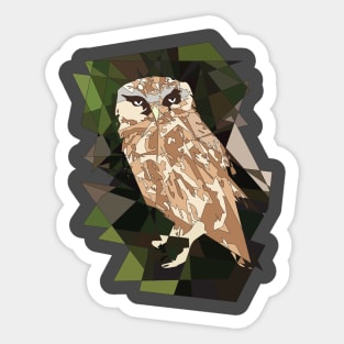 Night owl Sticker